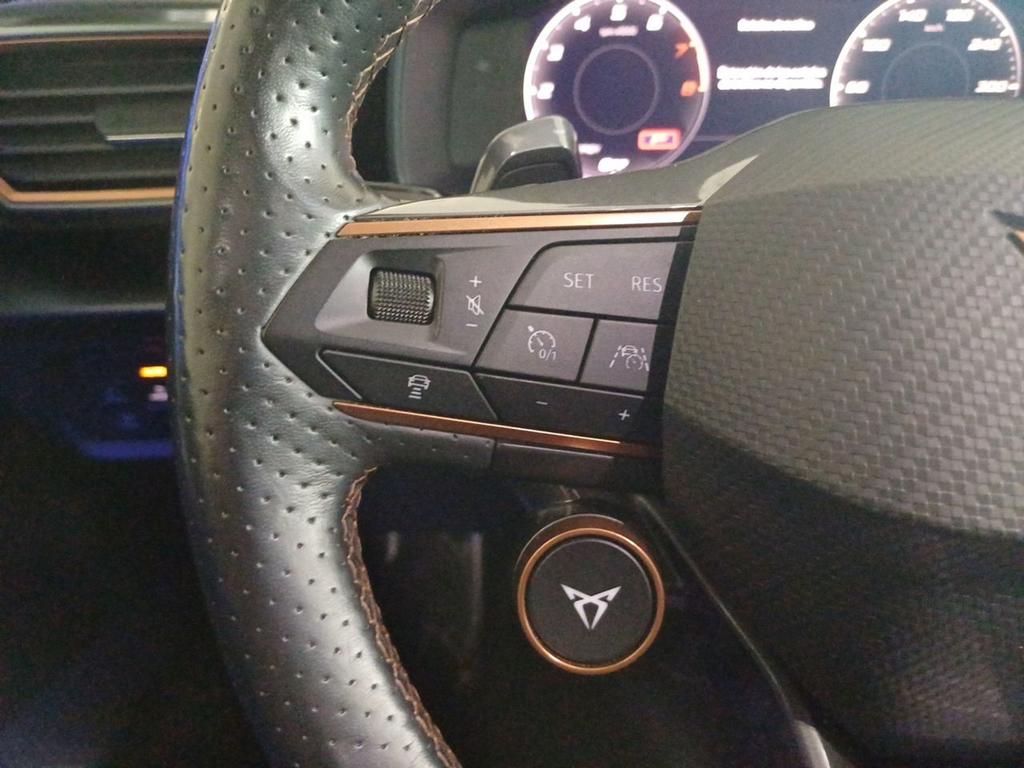 Cupra Formentor 2.0 TSI 228kW (310 CV) VZ 4Drive DSG 9