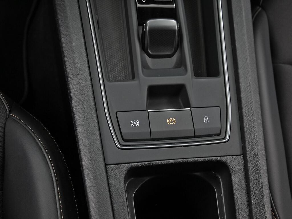 Cupra Formentor 1.5 TSI 110kW (150 CV) DSG 30
