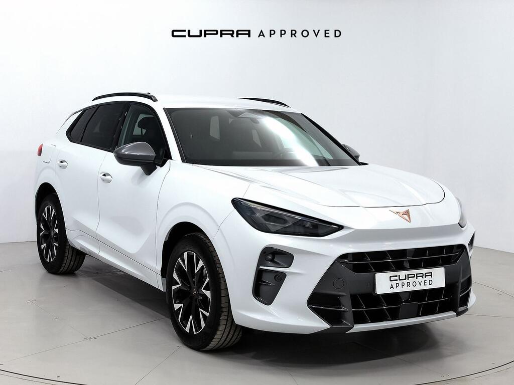 Cupra Terramar 1.5 eTSI 110kW (150 CV) DSG 1