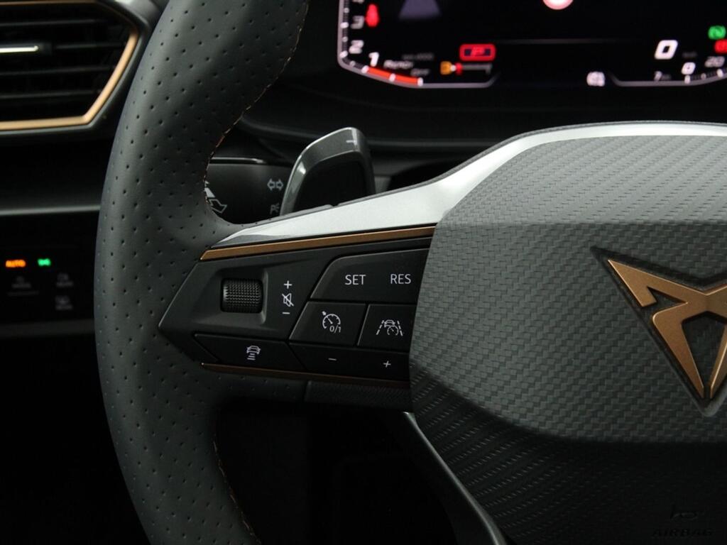 Cupra Formentor 1.5 TSI 110kW (150 CV) DSG 17