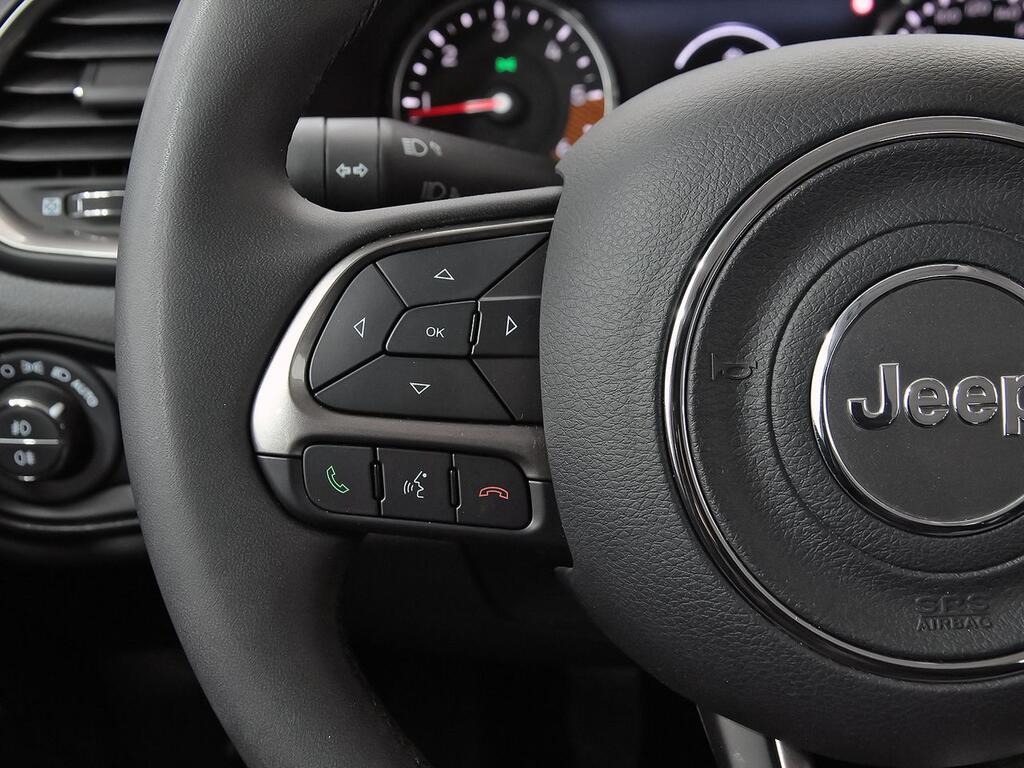 Jeep Renegade Limited 1.6 Mjet 95,6kW (130CV) 4x2 18