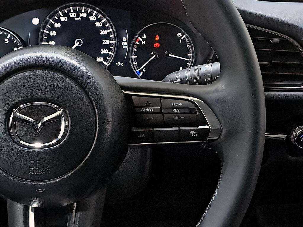 Mazda CX-30 e-SKYACTIV-X 2.0 137kW AT Homura 18