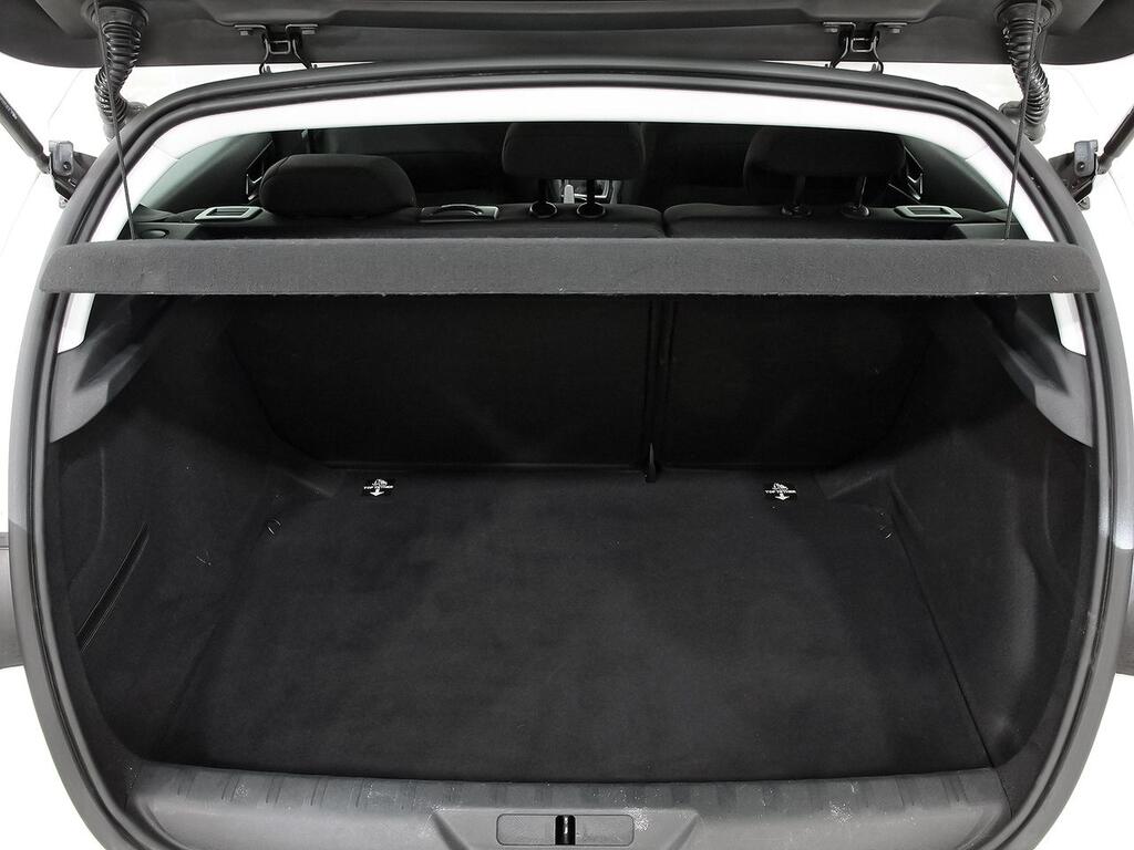 Peugeot 308 5P Business Line BlueHDi 100 S&S 6V MAN 10