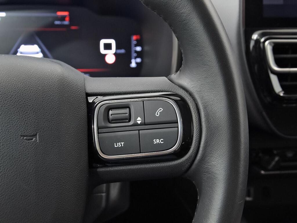 Citroën C5 Aircross PureTech 96kW (130CV) S&S Plus 19