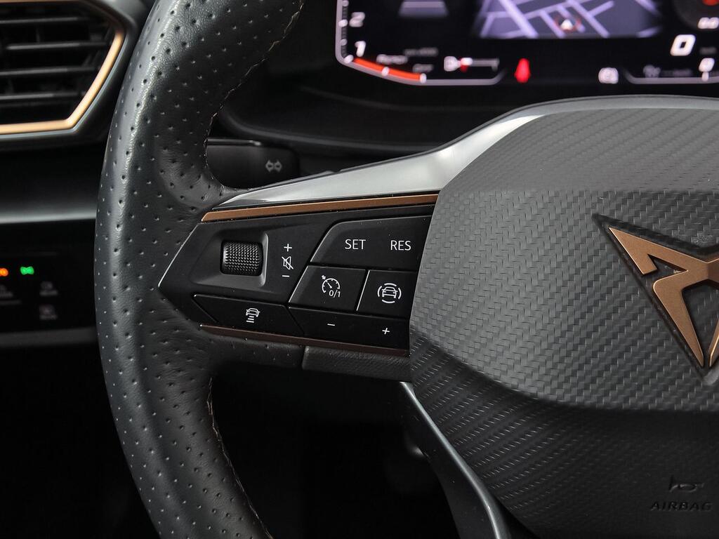 Cupra Formentor 2.0 TDI 110kW (150 CV) 15
