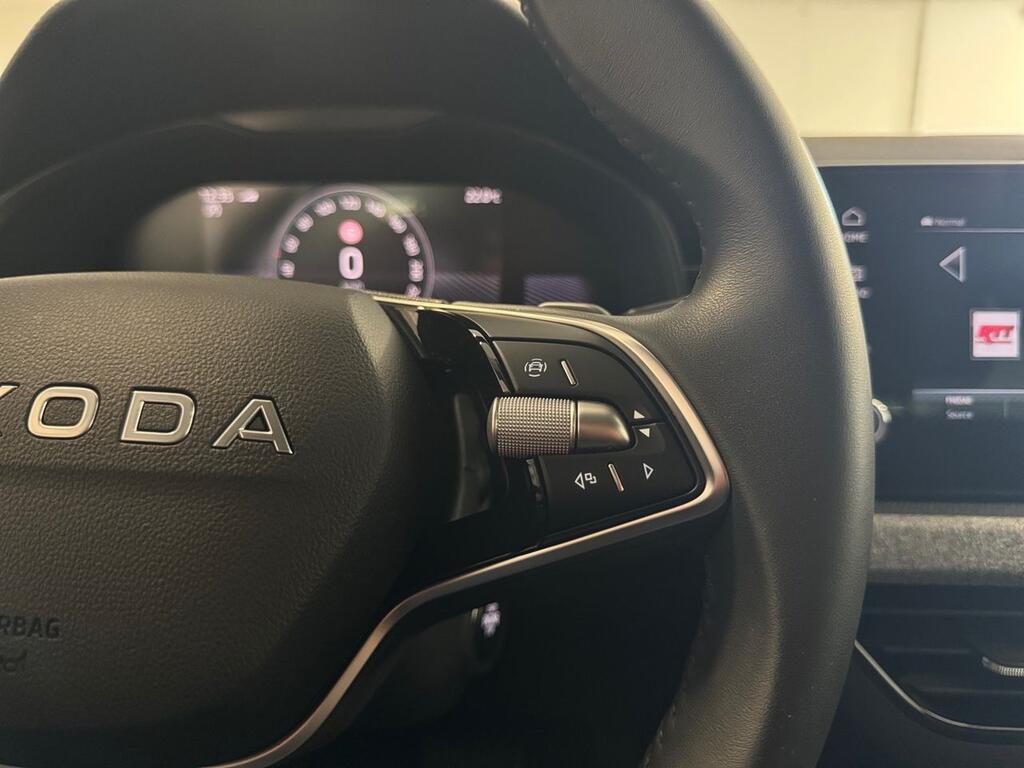 Skoda Kamiq 1.0 TSI 85kW (115CV) DSG SELECTION 10