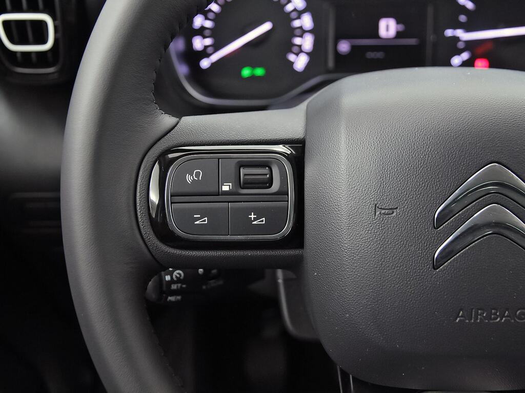 Citroën C3 Aircross PureTech 81kW (110CV) Plus 12