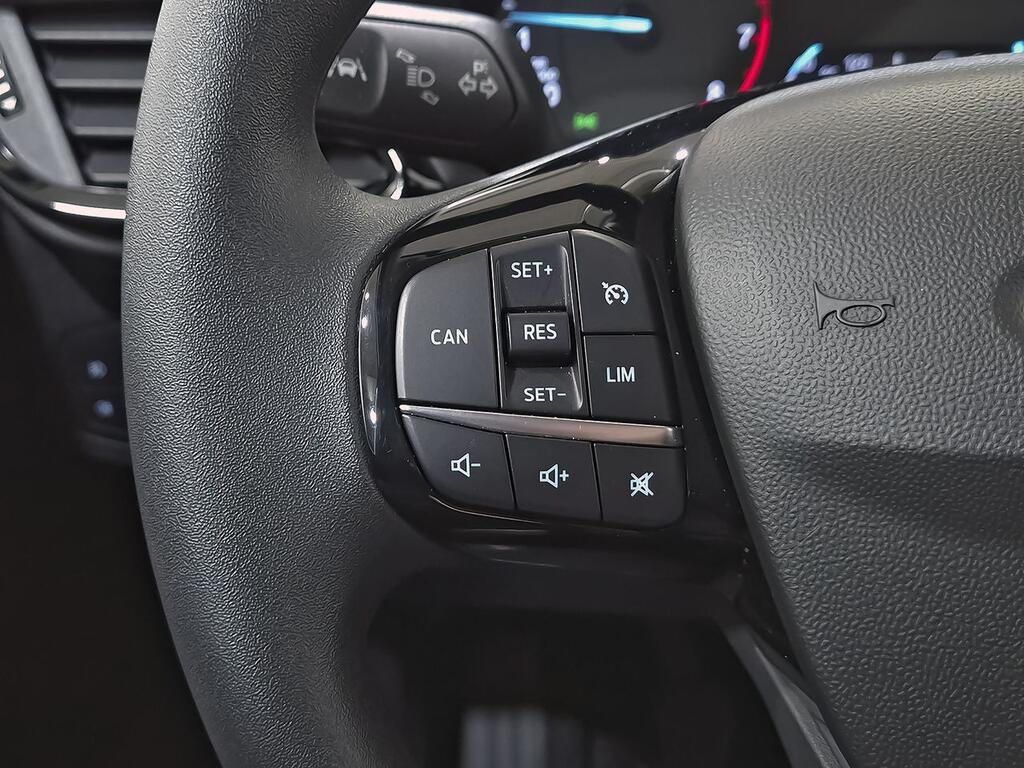 Ford Fiesta 1.0 EcoBoost 74kW (100CV) Trend 5p 17