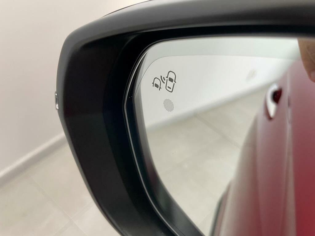 DS DS 7 1.6 E-Tense 300 GRAND CHIC Auto 4WD 34