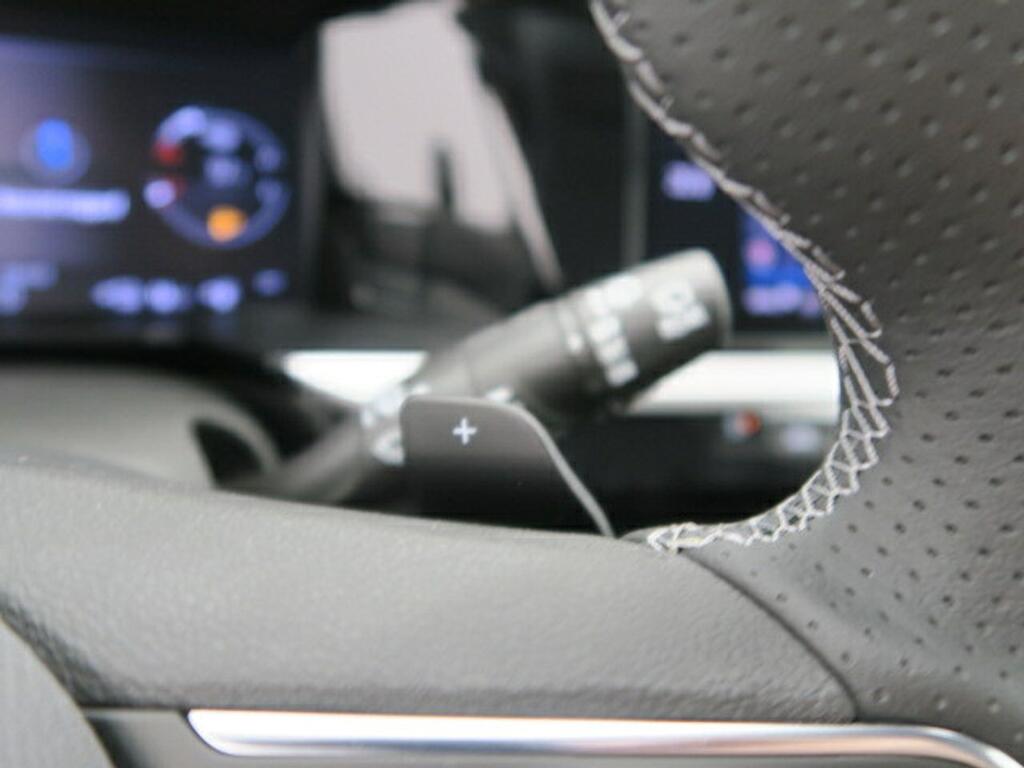 Opel Grandland 1.6 Turbo PHEV GSe Auto 221kW/300CV 14