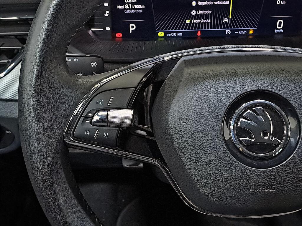 Skoda Scala 1.0 TSI 81KW (110 CV) DSG Ambitio 15