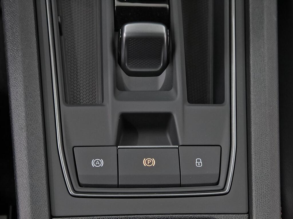 Cupra Formentor 2.5 TSI 287kW (390 CV) VZ5 4Drive DSG 34