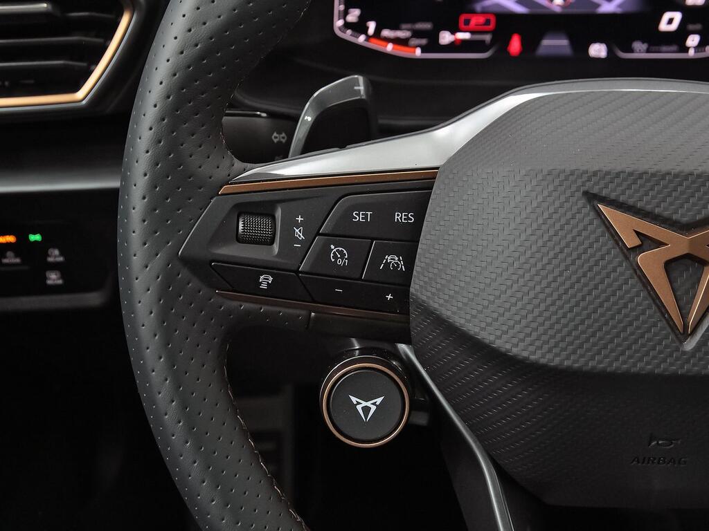 Cupra Formentor 2.5 TSI 287kW (390 CV) VZ5 4Drive DSG 16