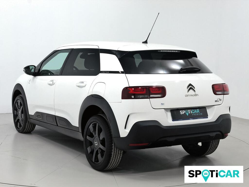 Citroën C4 Cactus BlueHDi 100 S&S Origins 2