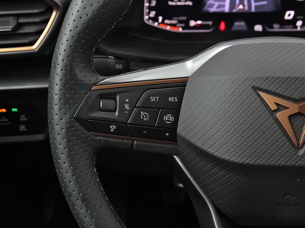 Cupra Formentor 1.5 TSI 110kW (150 CV) 15