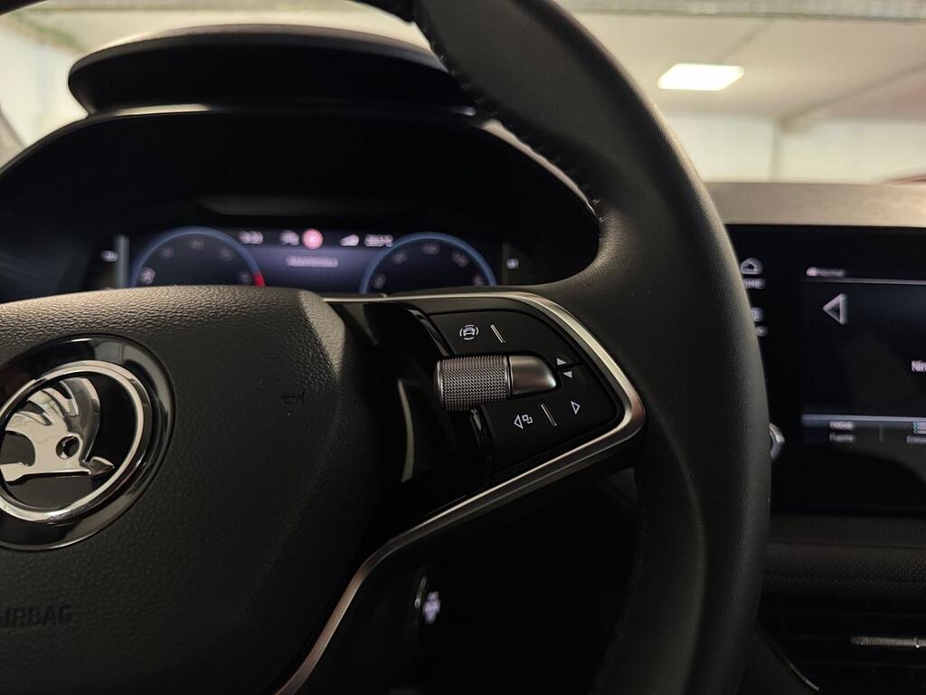 Skoda Fabia 1.0 TSI 85KW (115CV) Selection 10