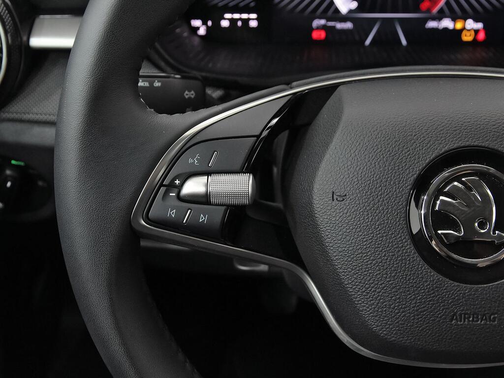 Skoda Fabia 1.0 TSI 70KW (95CV) Selection 15