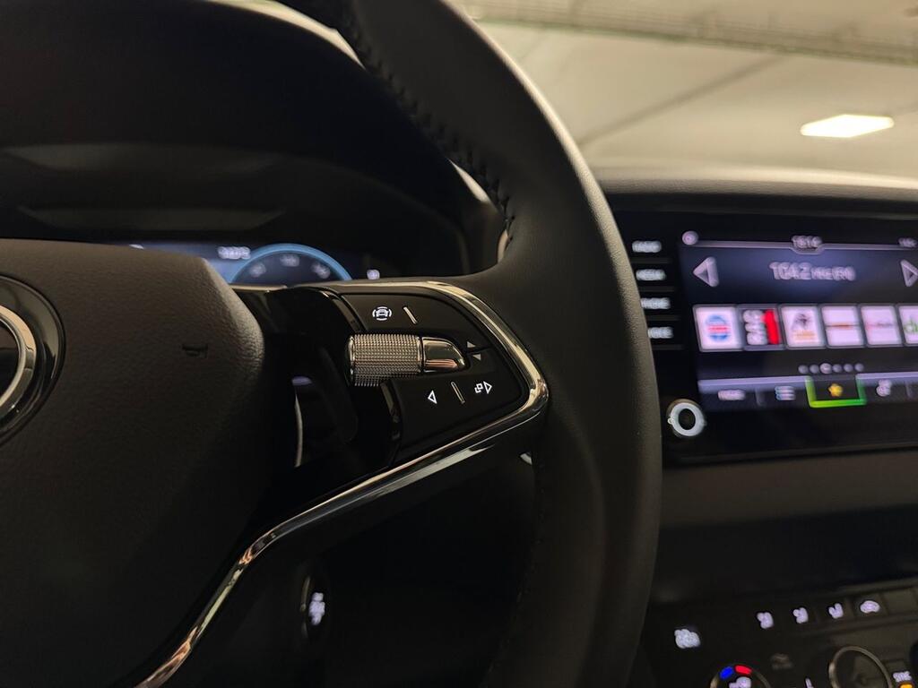 Skoda Karoq 1.5 TSI 110kW (150CV) DSG ACT Ambition 10