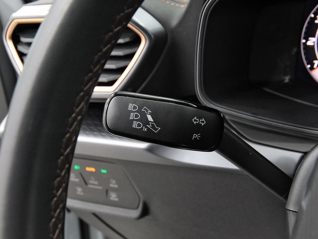 Cupra León 1.5 TSI 110kW (150CV) 13