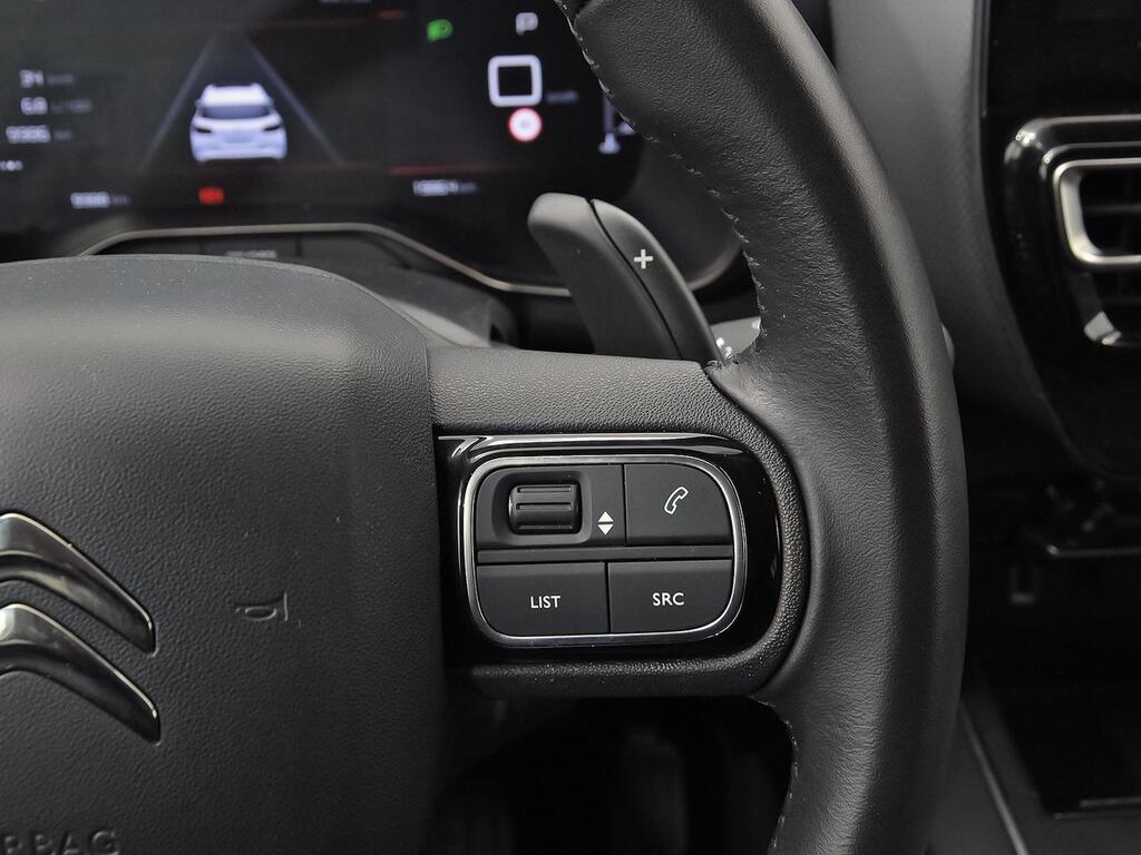 Citroën C5 Aircross BlueHdi 96kW (130CV) S&S EAT8 Plus 19