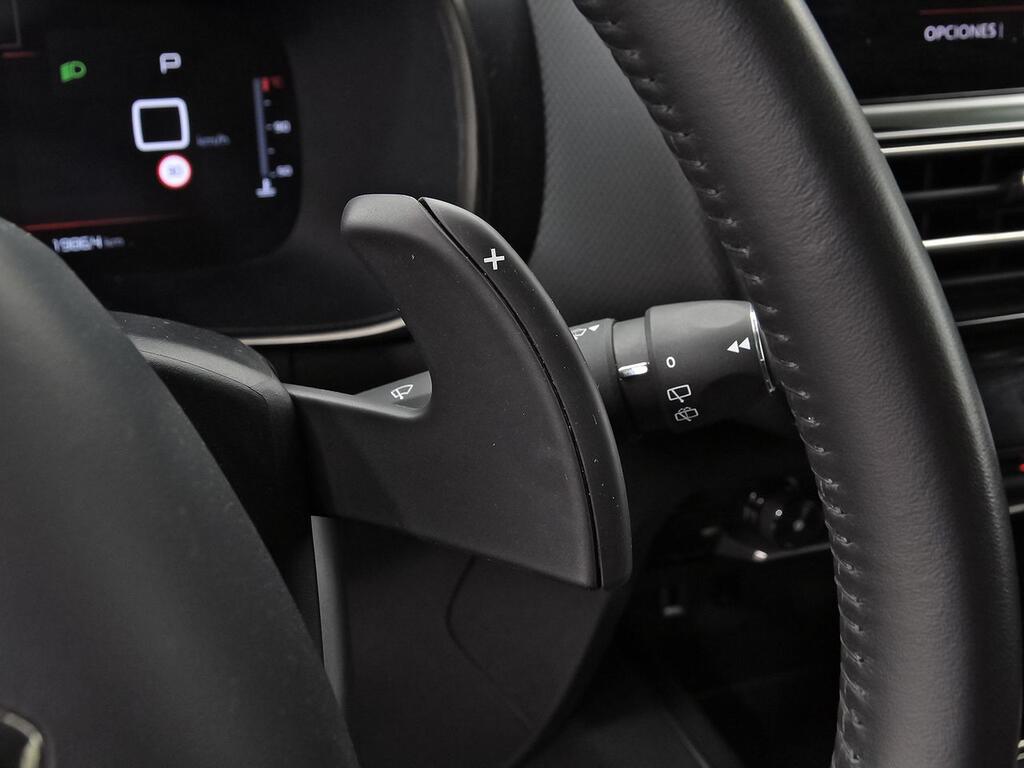 Citroën C5 Aircross BlueHdi 96kW (130CV) S&S EAT8 Plus 17