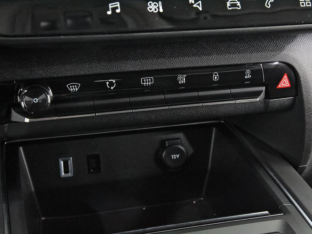 Citroën C5 Aircross BlueHdi 96kW (130CV) S&S EAT8 C Series 28