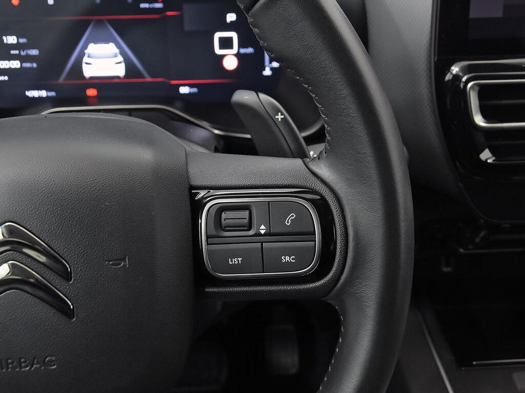 Citroën C5 Aircross BlueHdi 96kW (130CV) S&S EAT8 C Series 19