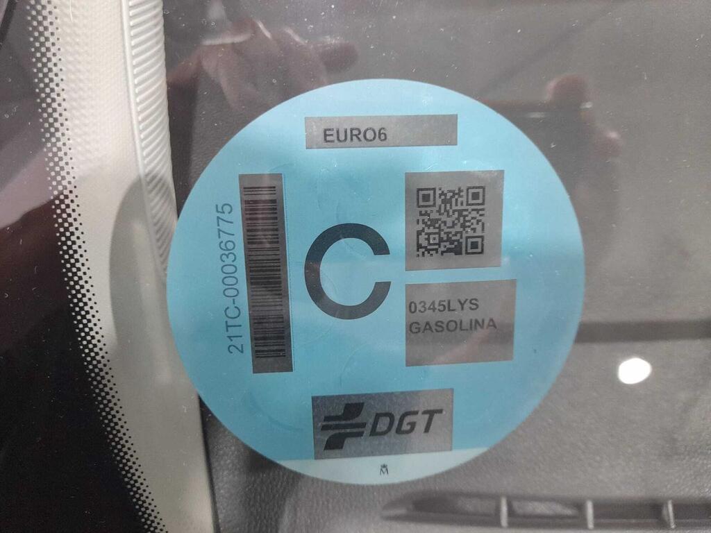 Renault Clio Business TCe 67 kW (90CV) 30