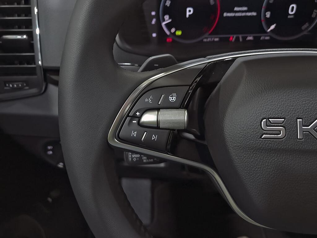 Skoda Karoq 1.5 TSI 110kW (150CV) DSG ACT Plus 26