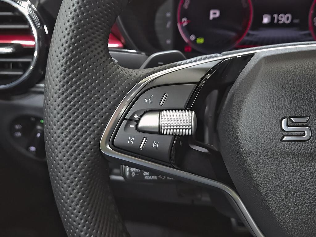 Skoda Fabia 1.0 TSI 85KW (115CV) DSG Monte Carlo 16