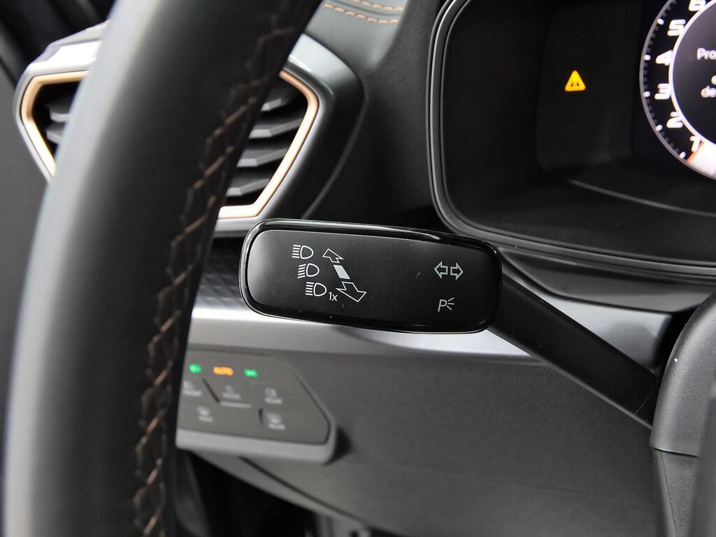 Cupra León 1.5 TSI 110kW (150CV) 13