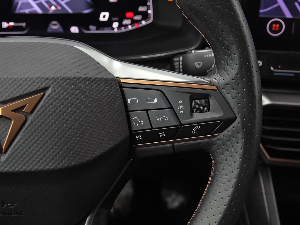 Cupra Formentor 1.5 TSI 110kW (150 CV) 17