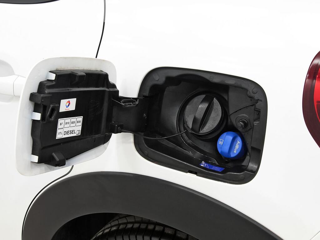 Citroën C3 BlueHDi 75KW (100CV) Plus 31