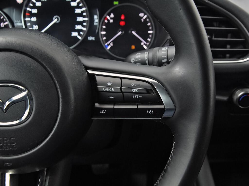 Mazda 3 2.5L E-SKY G MHEV 103kW Prime-line 19