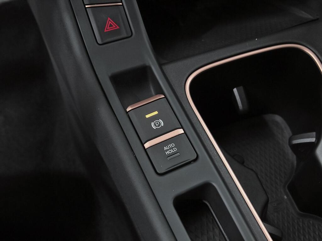 Cupra Terramar 1.5 TSI e-Hybrid 150kW (204 CV) DSG 34