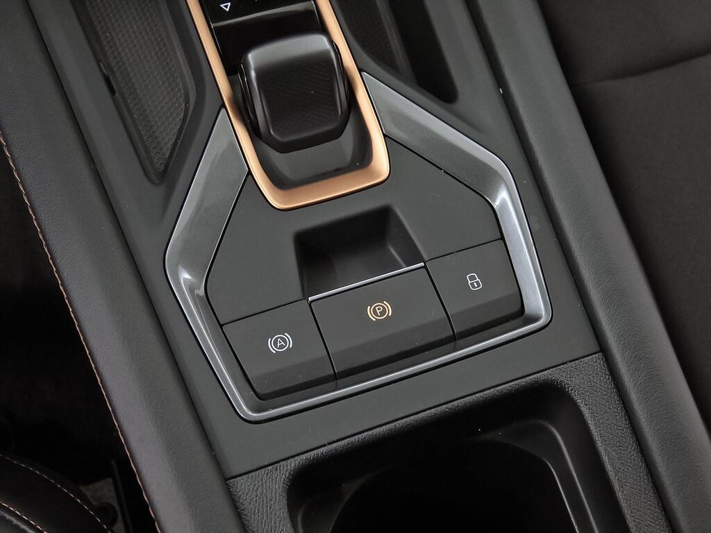 Cupra León 1.5 eTSI 110kW (150CV) DSG 28